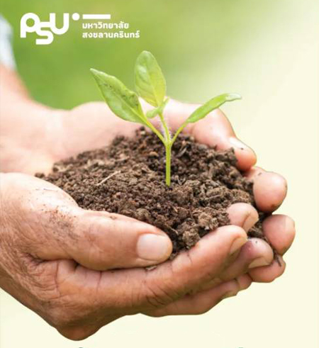 ข้อมูลทุนต้นกล้าสงขลานครินทร์